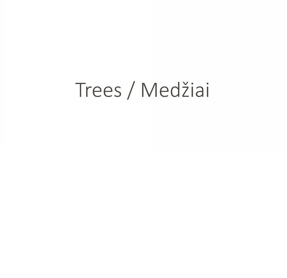 Trees / Medžiai